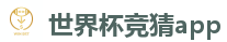 2026世界杯买球官方网站